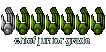 Chief Junior Grade Chief Junior Grade