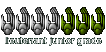 Lieutenant Junior Grade Lieutenant Junior Grade
