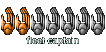 Fleet Captain